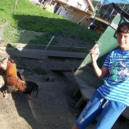 2 - Oberhaushof Farm * Zell am Ziller
