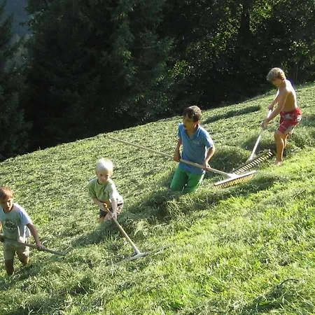 2 - Oberhaushof Farm Zell am Ziller